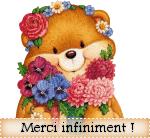 merci infiniment ours