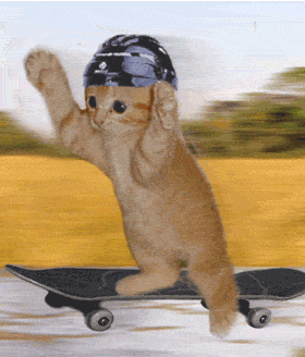 602