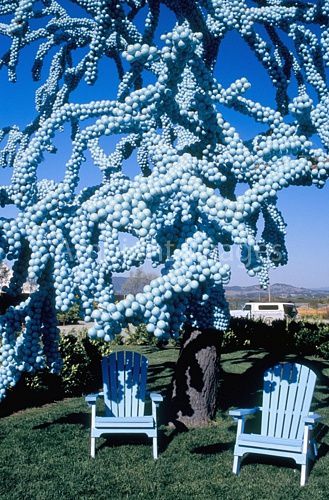 Claude Cormier, Blue Tree, 2004, Sonoma (Californie)(2)