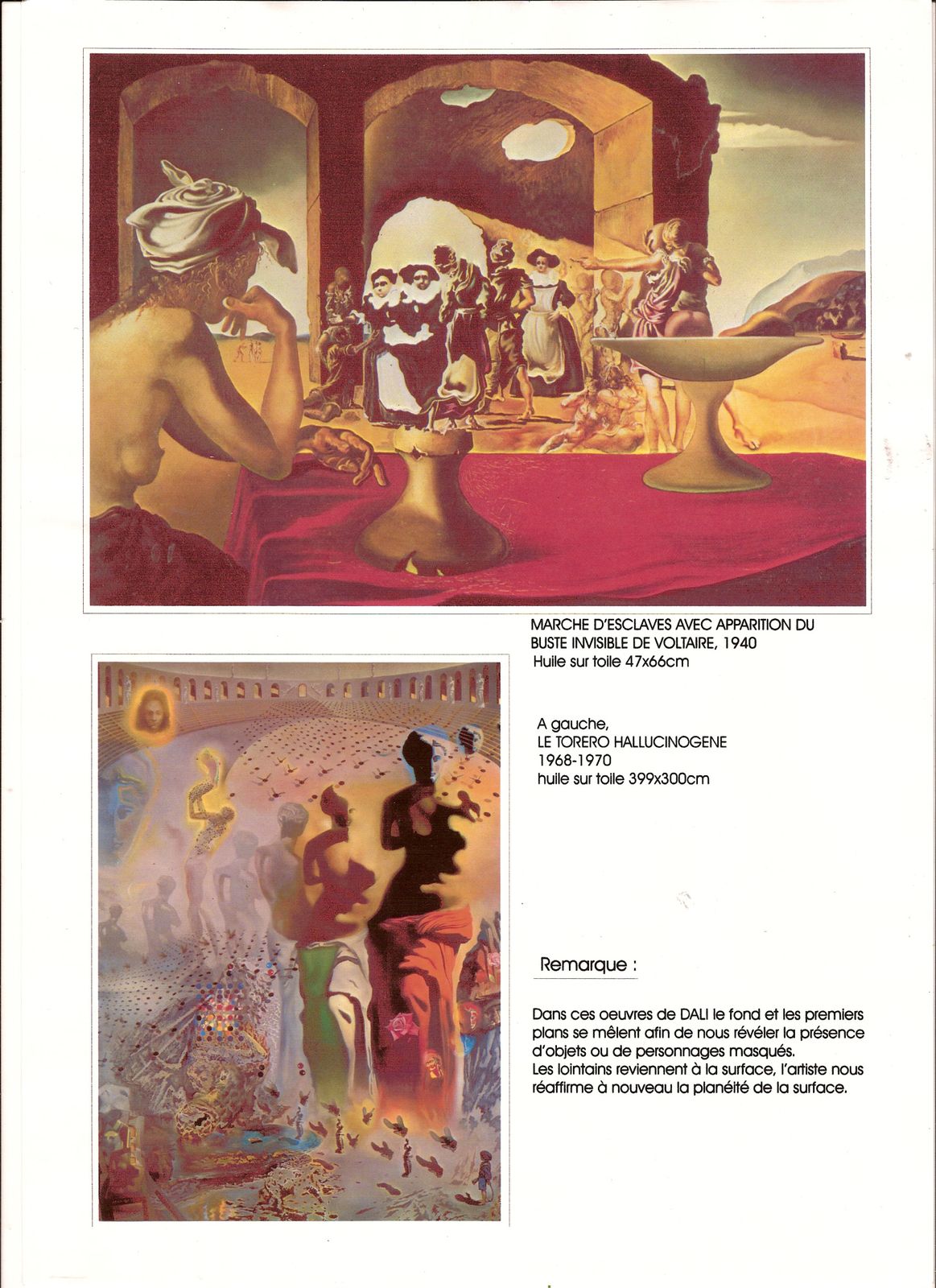 DALI-texte-2.jpg