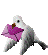 oiseaux-colombe-00006