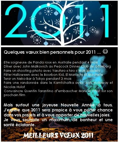 Voeux2011