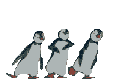 pingouins qui danse 146
