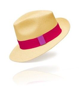 Mon panama à moi Mon panama à moi