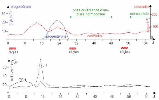 Effet-pillule-normodos_e-sur-concentrations-hormonales.jpg