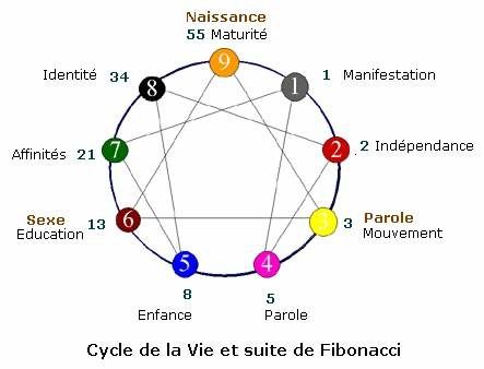 ennea fibonacci