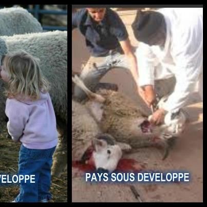 developpé sousDev