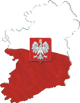 Polonia diaspora polonaise Irlande
