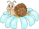 escargot_010_1_