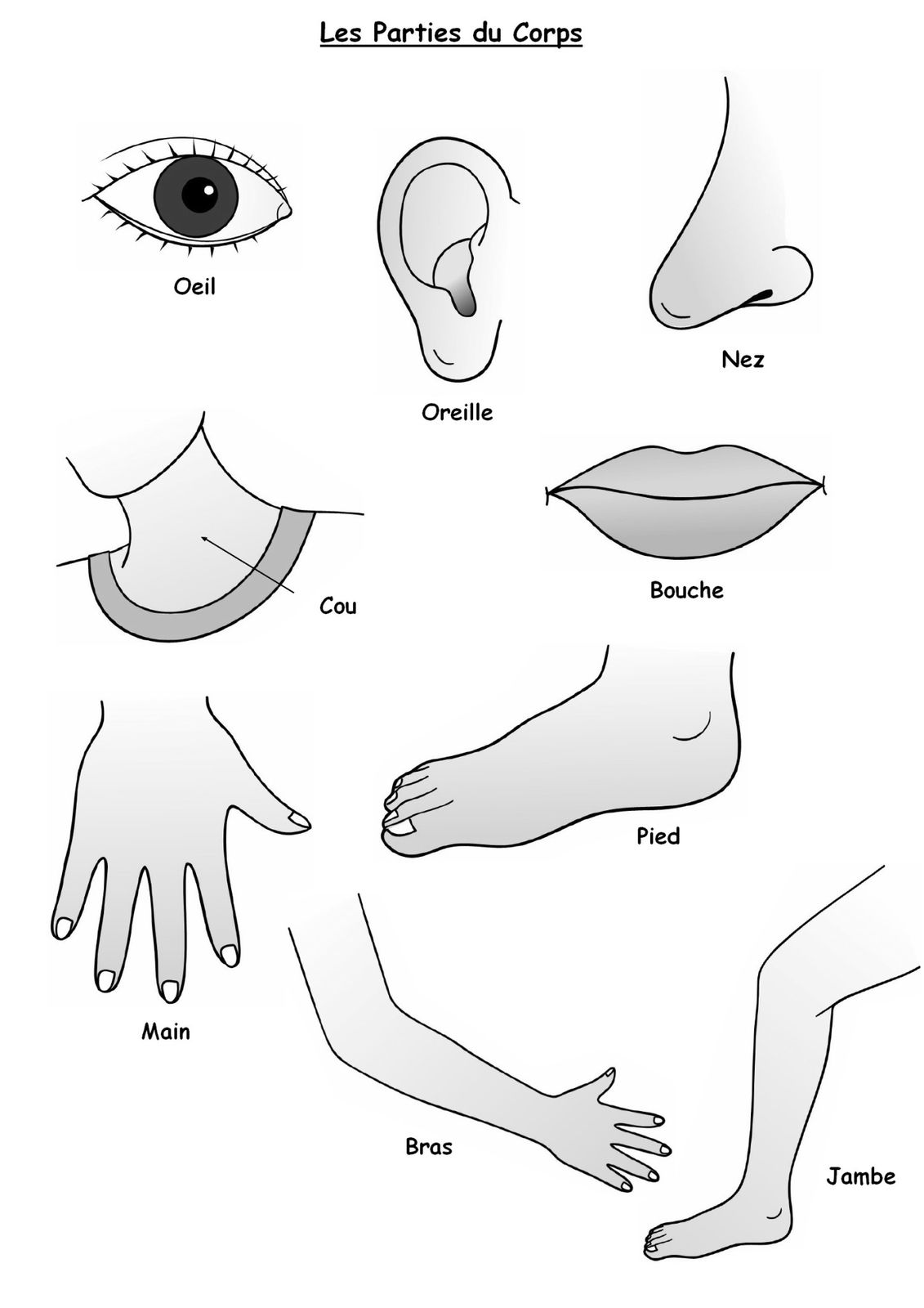 Les fonctions du masque pour la personne