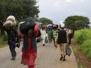 Route-garoua-gaoundere2.jpg