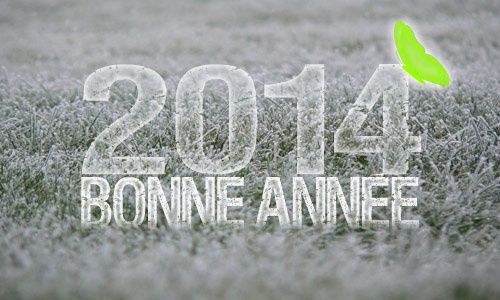 Bonne-Annee-2014.jpg