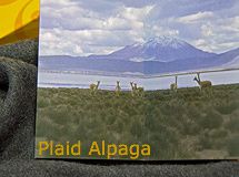 Plaid Alpaca Compagnia lane preziose 135/180 cm 283€