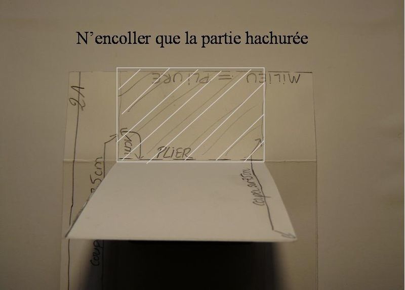 Collage_languette