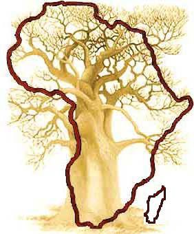carte-et-baobab-ok.jpg