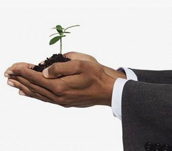graine_pousse_plante.jpg