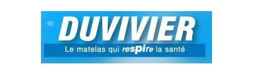 logo duvivier