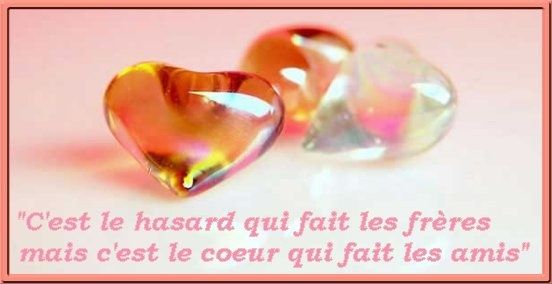 citation sur une rencontre par hasard