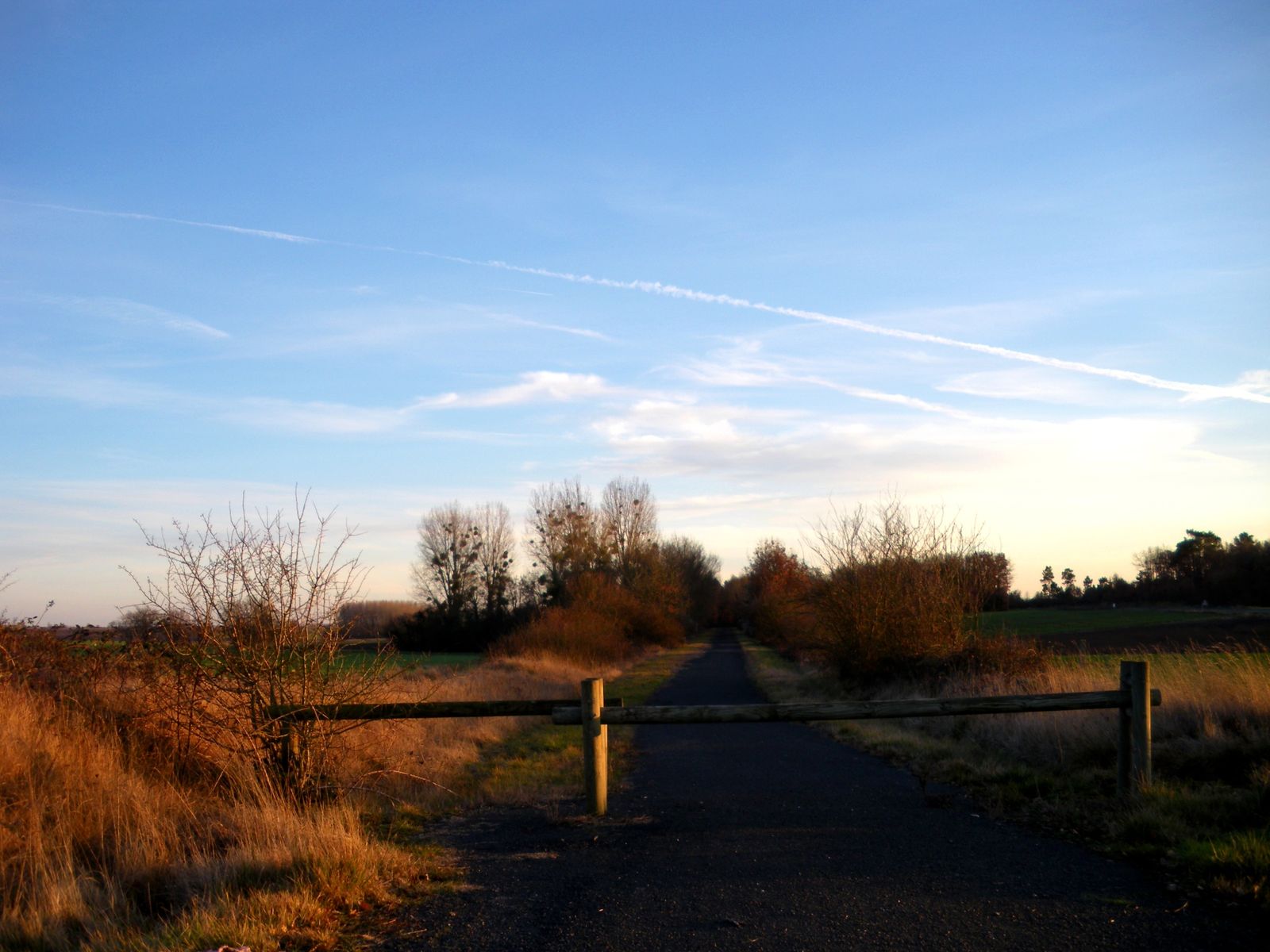 IMGP2499.JPG