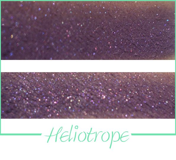 ED-Heliotrope.jpg