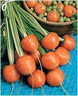 carottes-boules.jpg