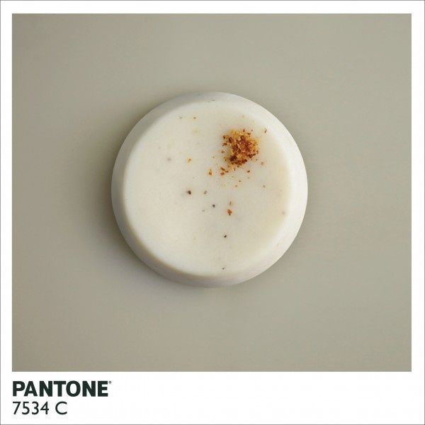 pantone-food-pana-cotta