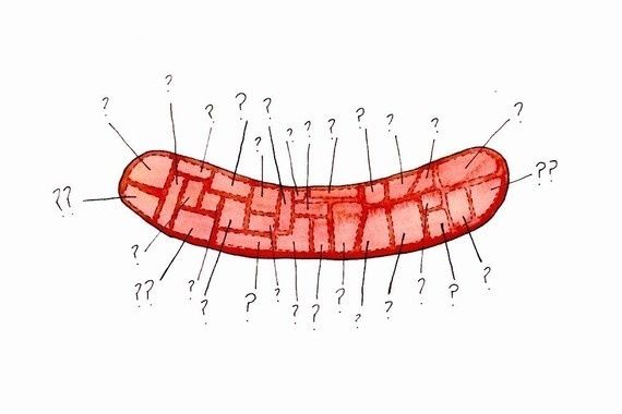 butchery-diagrams-alyson-thomas