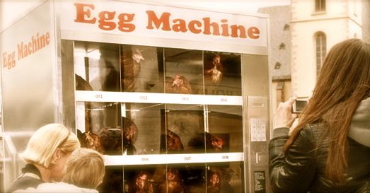 The-Egg-Machine