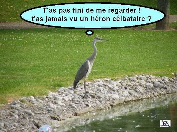 rencontre pour mineur gratuit