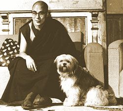 dalai-lama.et-lhassa-apso.jpg