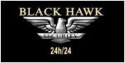 logo black hawk