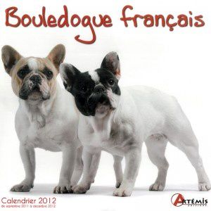 calendrier-2012-bouledogue-franc.jpg