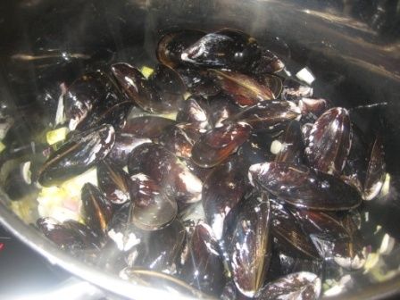 Photo-073-copie-4.jpg