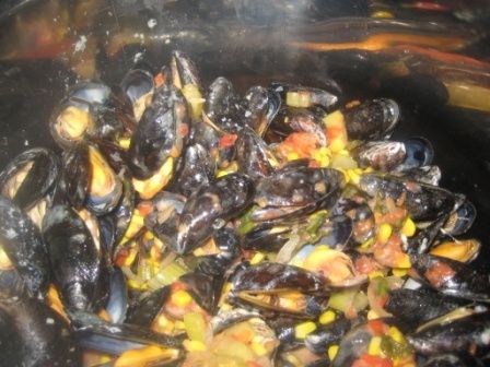 Photo-420.jpg