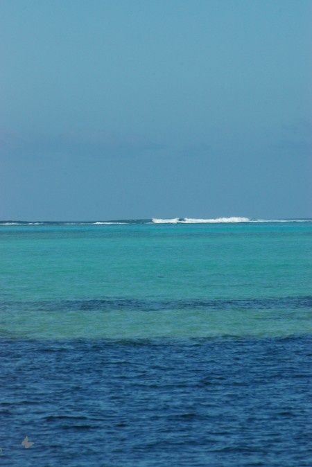 IMGP5417-1.jpg