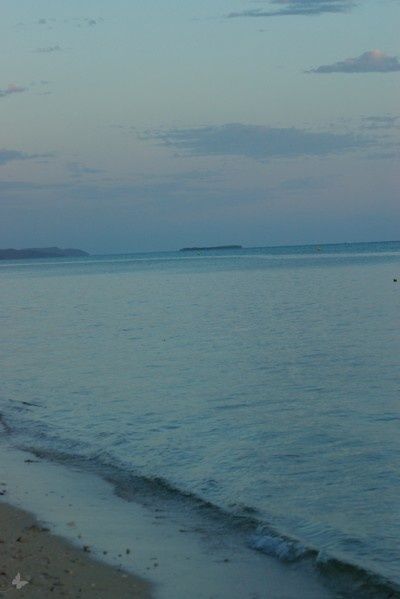 IMGP5318-1.jpg