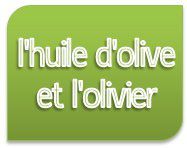 logo olivier