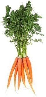 Les carottes font bronzer : faux - Pour le plaisir du goût