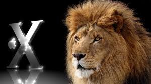 lion-mac.jpg
