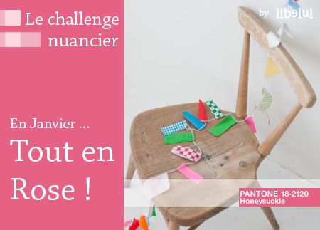 le-challenge-nuancier-janvier-by-libelul.jpg