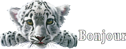 gif-bonjour-9-gratuit