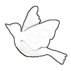 oiseau06