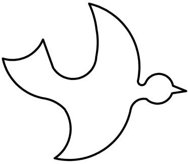 oiseau07