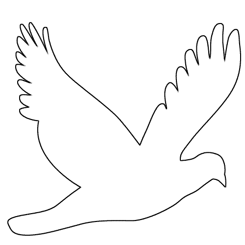 oiseau08