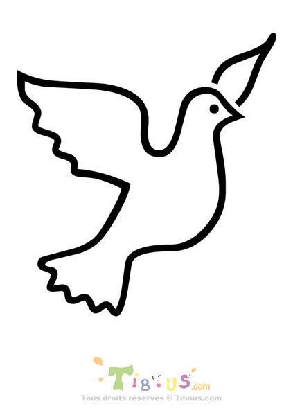 oiseau09-copie-1.jpg