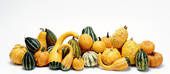 COURGES-3