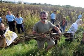 OGM FAUCHEURS ACTIONS HOMENATURO