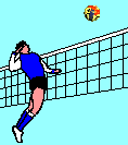 volleyball011