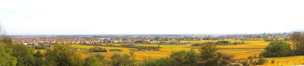 Marsannay-Panorama