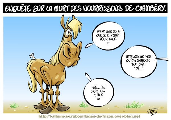 Chambery_nourrissons-morts_cheval_Frizou.jpg